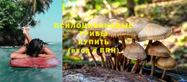 каннабис Горнозаводск