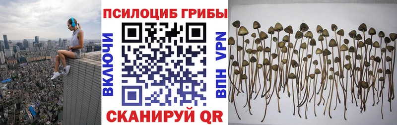 Галлюциногенные грибы ЛСД  Купить где  Ряжск 